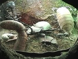 A scaled-up model of soil bugs at the Centre for Alternative Technology, Machynlleth
